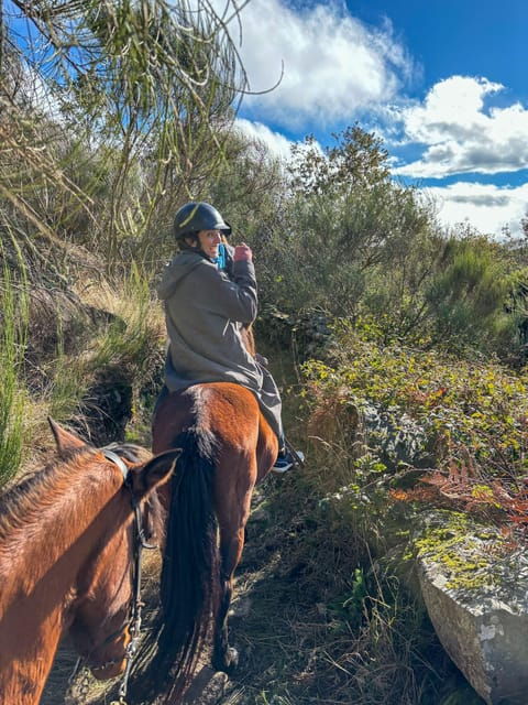 mountain-horseback-ride-lunch-wine-tasting