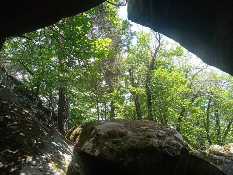 mountain-train-experience-hike-mystic-forest-from-nice