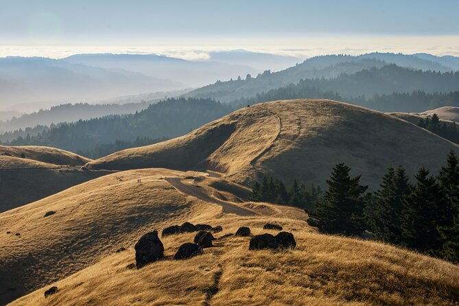muir-woods-self-guided-driving-and-walking-audio-tour