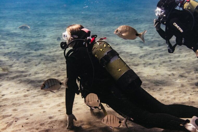 museo-atlantico-scuba-dive-lesson-for-non-certified-divers