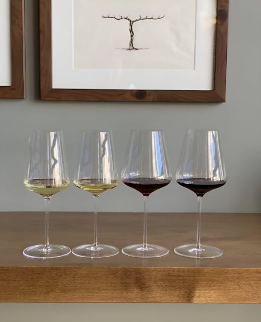 napa-intro-to-wine-tasting-with-napa-sommeliere