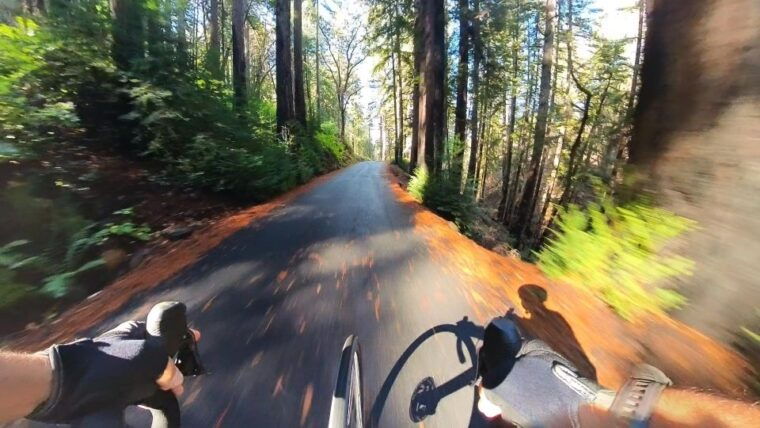 napa-sonoma-guided-tour-for-cycling-enthusiasts