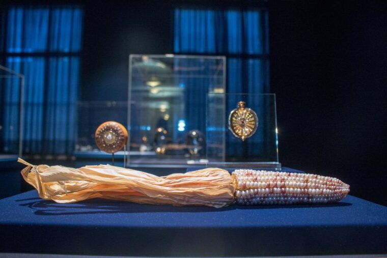 national-museum-of-natural-history-guided-tour