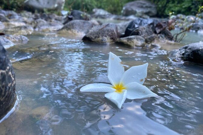 nature-trail-river-in-a-wellness-farm-santa-clara-beach