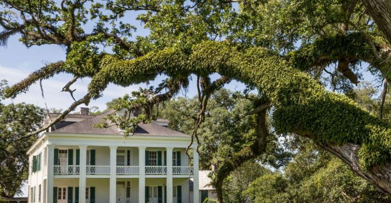 new-orleans-felicity-plantation-guided-tour