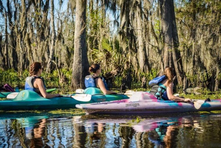 new-orleans-manchac-magic-kayak-swamp-tour