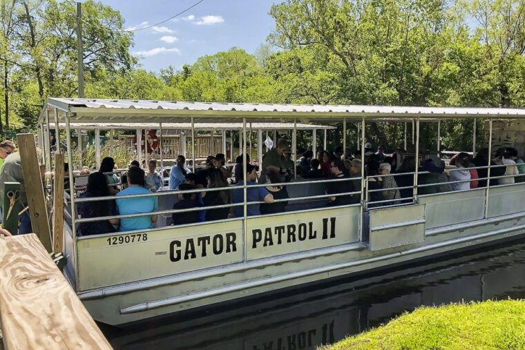 new-orleans-oak-alley-plantation-swamp-cruise-day-trip