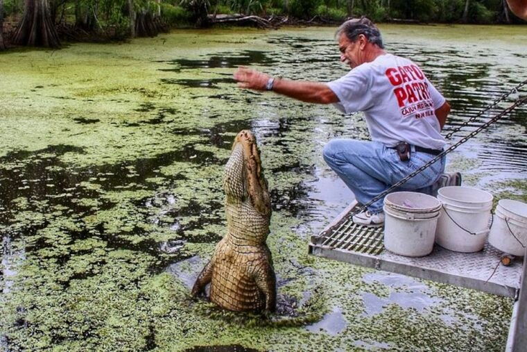 new-orleans-swamp-boat-ride-and-historic-plantation-tour