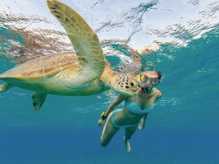 oahu-snorkeling-with-turtles-water-scooter-paddleboard