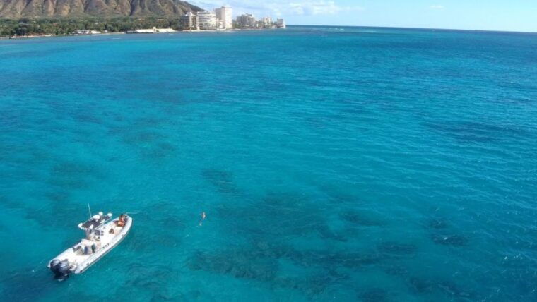 oahu-waikiki-private-snorkeling-and-wildlife-boat-tour