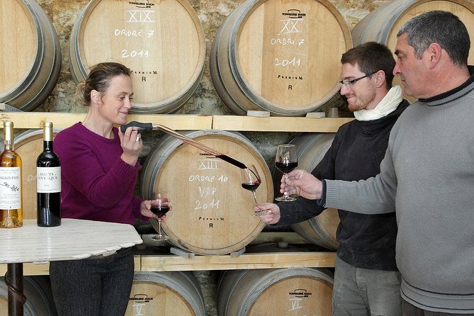 oenological-animation-from-the-vine-to-the-wine