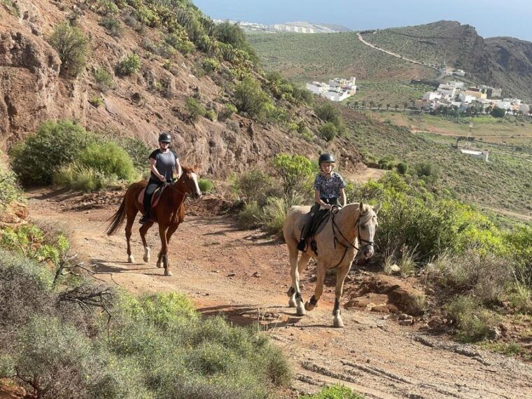 ojos-de-garza-2-hour-las-palmas-mountains-horse-riding-tour
