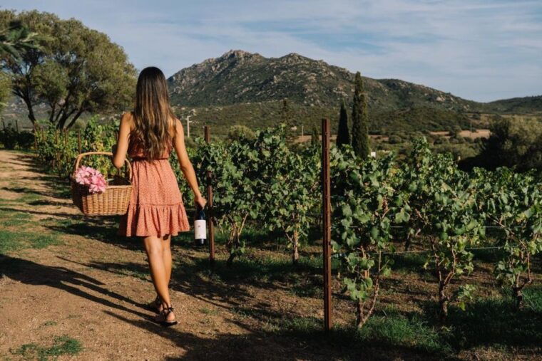 olbia-gallura-winery-guided-tour-with-tasting
