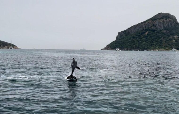 olbia-unique-excursions-in-the-gulf-of-olbia