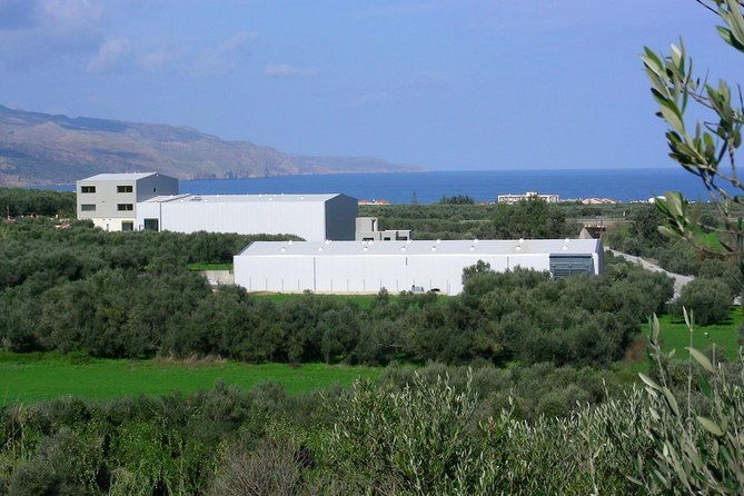 olive-oil-wine-beer-private-tour-price-per-group-of-6