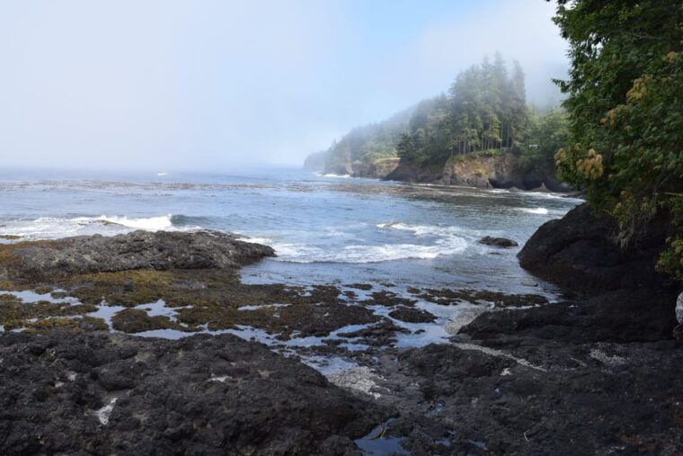olympic-national-park-half-day-tour