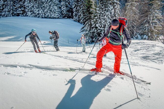 one-day-ski-touring-workshop