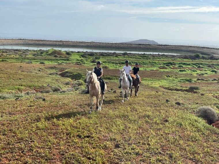 one-hour-horse-riding-tour-in-gran-canaria