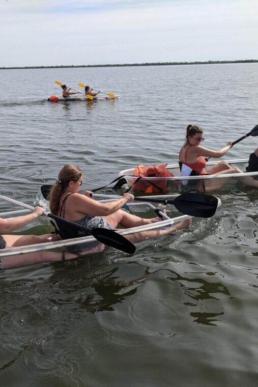 orlando-dolphin-clear-kayak-or-paddle-board-adventure