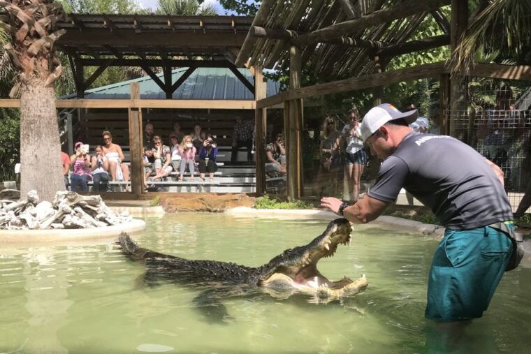 orlando-everglades-airboat-ride-and-wildlife-park-ticket