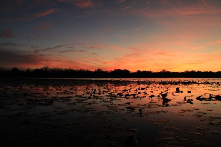 orlando-sunset-guided-kayaking-tour