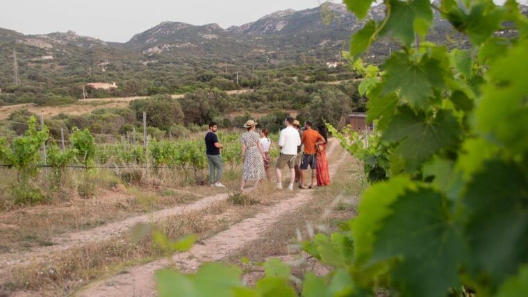 palau-wine-tasting-in-a-gallura-winery