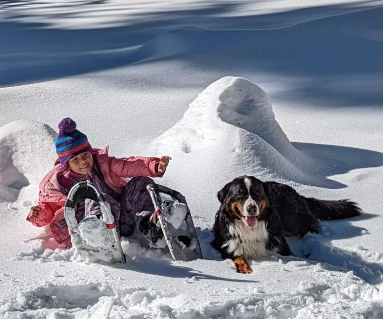palisades-point-half-day-snowshoeing-hike