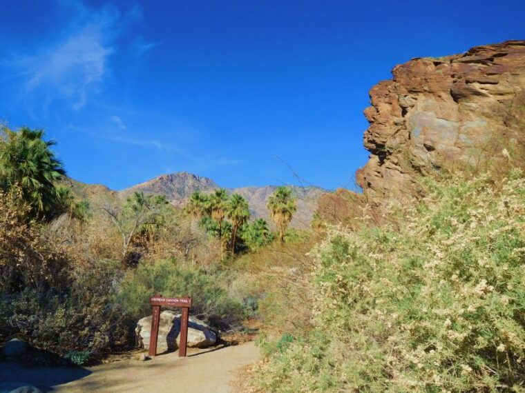 palm-springs-indian-canyons-hiking-tour-by-jeep