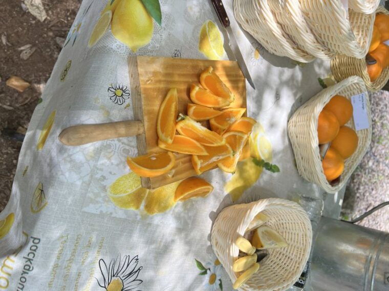 palma-orange-farm-olive-mill-winery-tour-with-tastings
