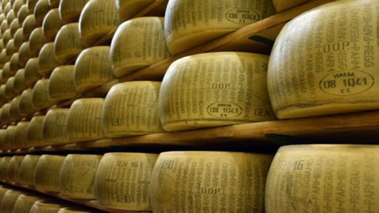 parma-parmigiano-production-and-parma-ham-tour-tasting