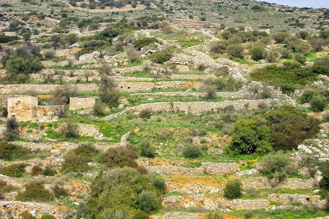 paros-byzantine-path-ancient-greek-route-hiking-experience