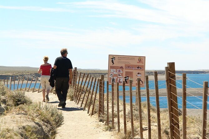 peninsula-valdes-puerto-madryn-shared-tour-for-cruises