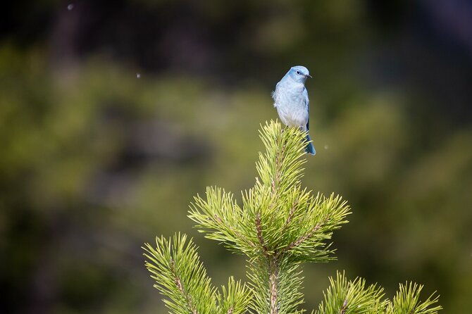 photography-workshop-in-grand-teton-national-park