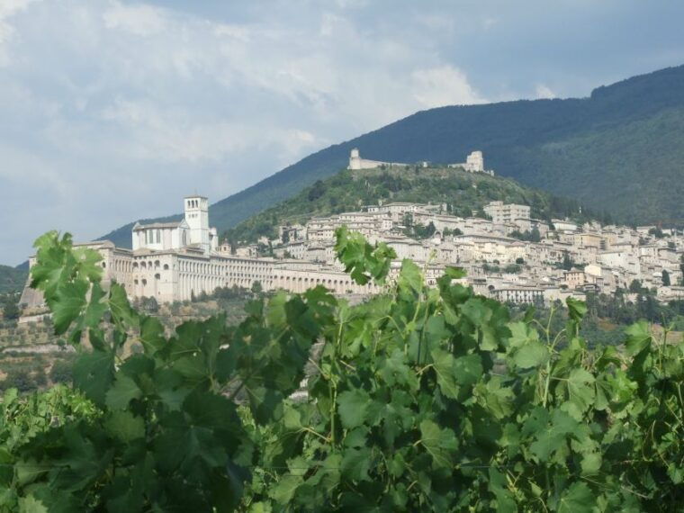 pic-nic-deluxe-assisi-and-wine-tasting-5-wines