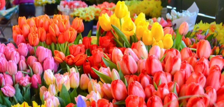 pike-place-market-food-tour