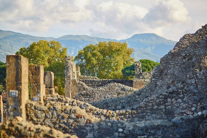 pompeii-private-personalized-tour-with-archeology-expert-guide