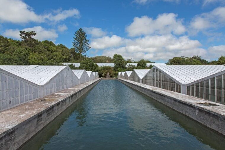 ponta-delgada-private-tour-sete-cidades-green-and-blue-lakes