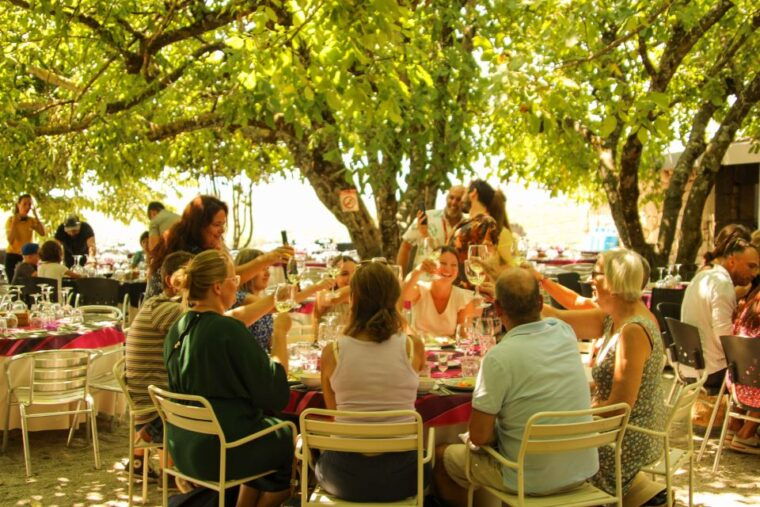 porto-douro-valley-history-wine-tour-with-cruise-lunch