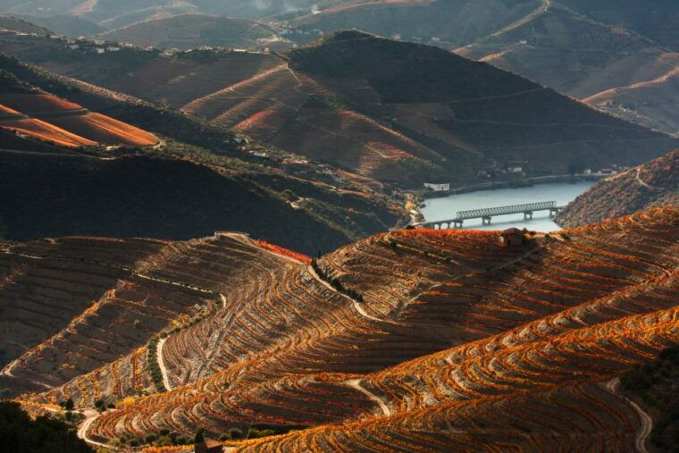 porto-private-tour-wineries-tastings-picnic-boat-trip
