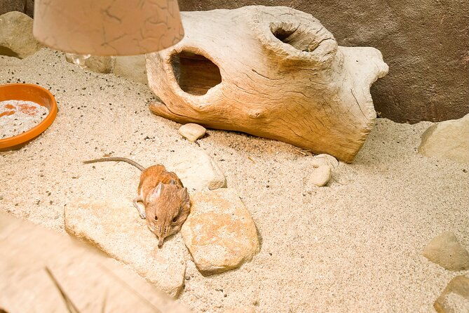 prague-zoo-admission-ticket-with-transfer-and-audio-guide