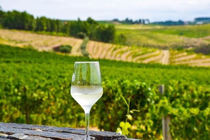 premium-private-douro-tour-2-wineries-with-tastings-cruise