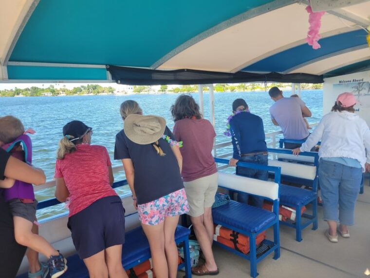 private-2-hour-dolphin-sightseeing-tour-melbourne