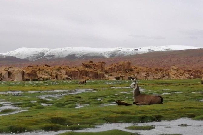 private-3-day-tour-uyuni-salt-flats-with-tayka-hotels-from-uyuni