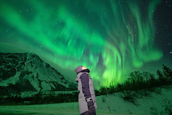 private-aurora-viewing-experience-in-fairbanks