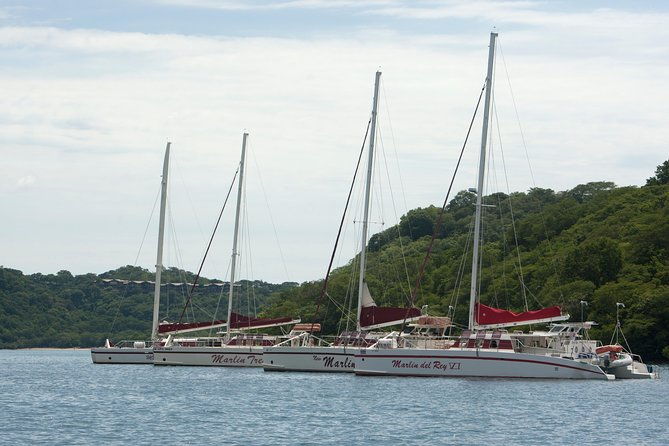 private-catamaran-sailing-tour