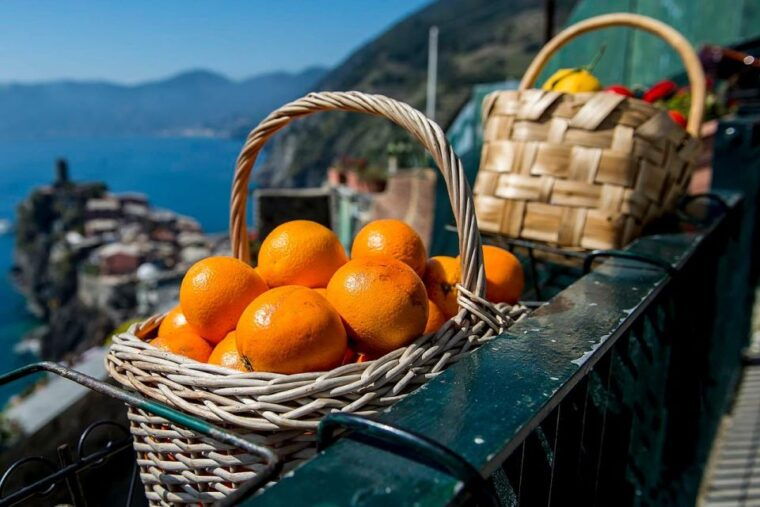 private-cinque-terre-tour-from-florence-with-optional-hike