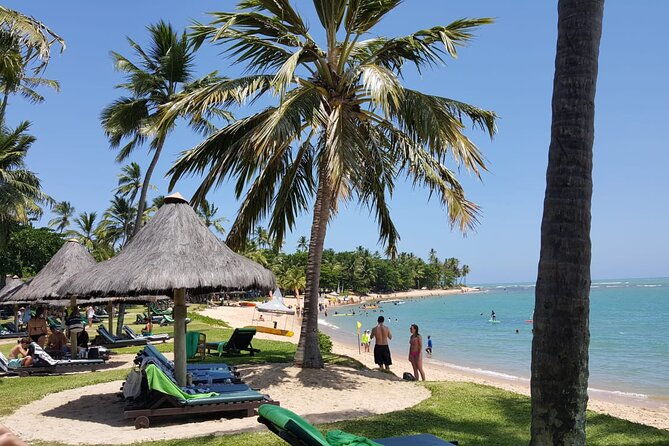 private-coconut-coast-praia-do-forte-tour-from-salvador