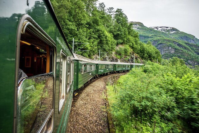 private-day-tour-naeroyfjord-cruise-viking-village-flam-railway