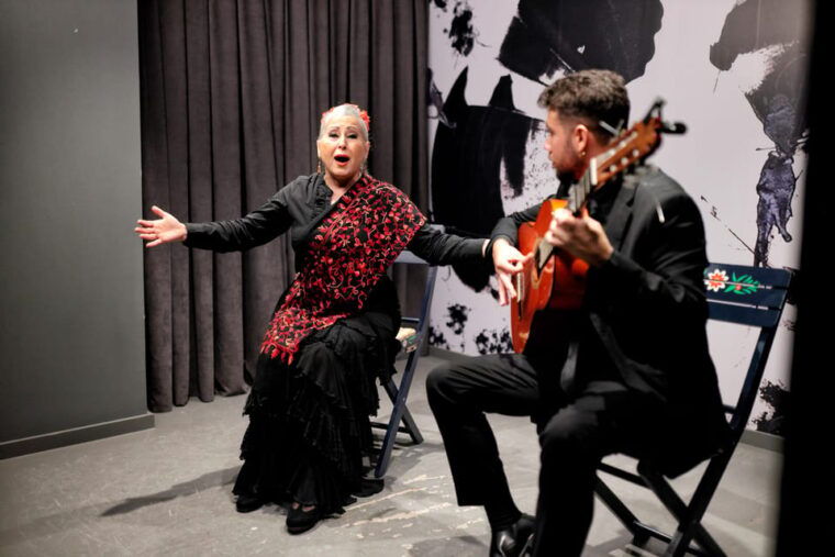 private-flamenco-show-in-the-center-of-seville-max-30-pax