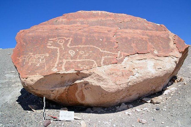 private-full-day-majes-toro-muerto-and-dinosaur-footprints-from-arequipa